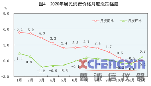 中华人民共和国2020年国民经济和社会发展统计公量热仪