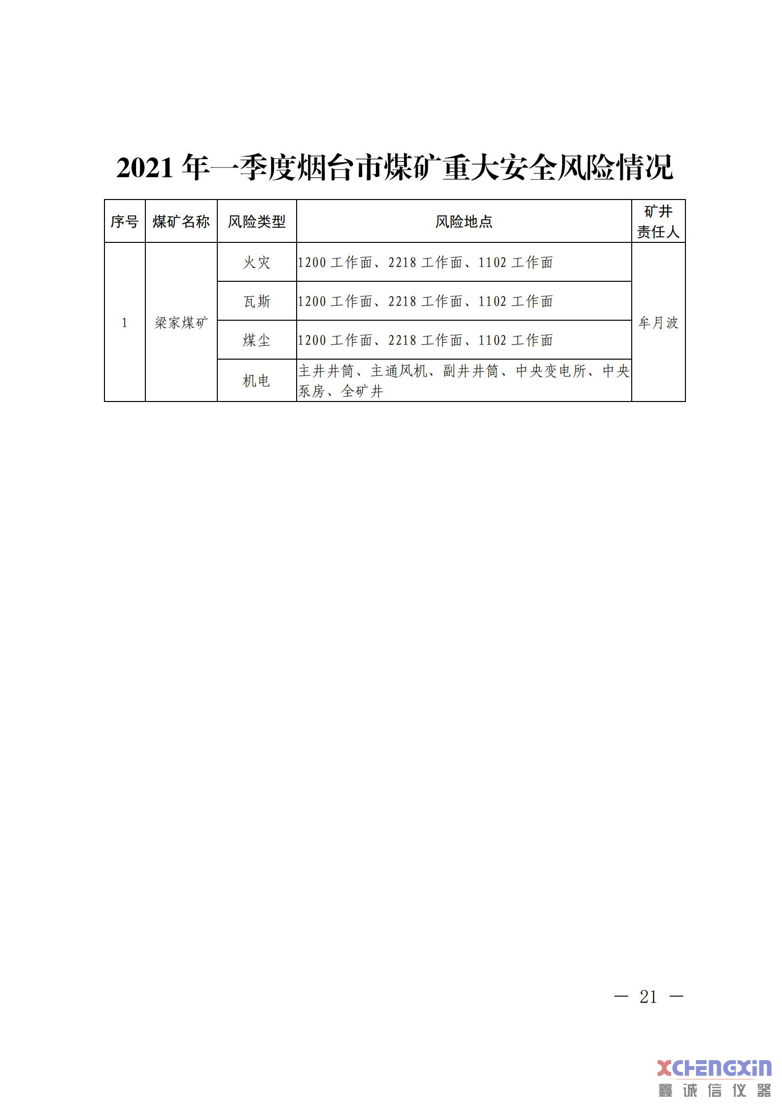 《山东省煤矿2021年一季度重大风险分析研判结果煤质分析仪器